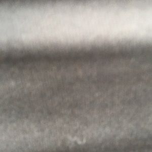 Meet your Posher, Wyatt